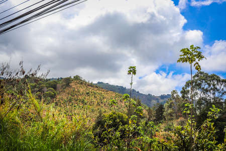 Beautiful view of rural landscape. costa rica under cloudy sky.の写真素材
