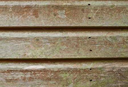 Old grunge wooden timber texture background .Vintage woodの写真素材