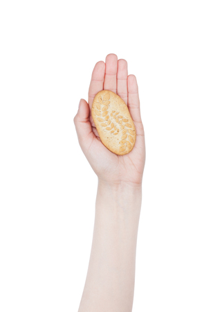 Female hand hold healthy breakfast biskuits on white backgroundの写真素材