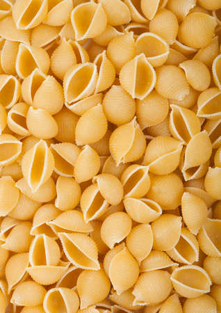 Fresh raw classic conchiglie pasta ias texture background. Macro