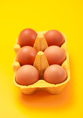 Brown raw organic eggs in paper tray on yellow background.