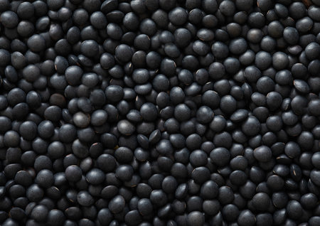 Black organic raw lentils grain seeds textured background.の写真素材