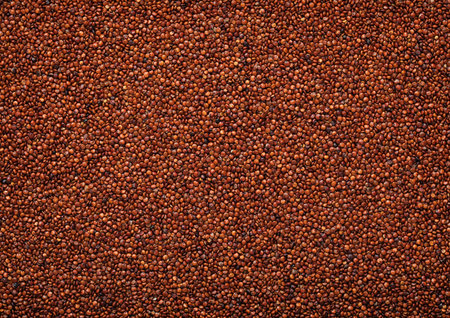 Brown organic healthy bolivian quinoa balanda grain seed textured background.の写真素材
