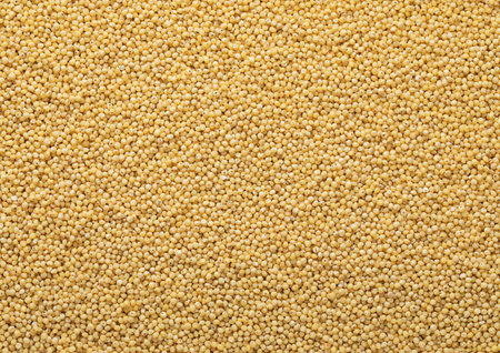 Yellow raw organic healthy millet grain seeds textured background.