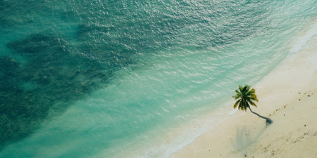 One palm tree on the beach with soft sand and blue ocean view for travel holiday experience.Wide view.AI Generative.の素材