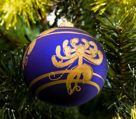The beautiful dark blue Christmas-tree decoration weighs on a fur-tree branchの写真素材