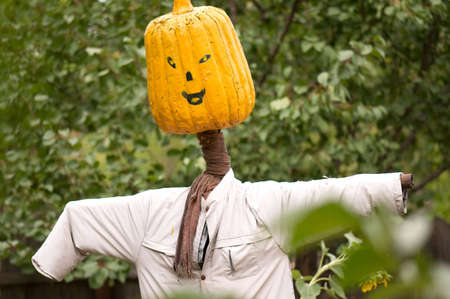A handmade male scarecrow in field sunflowerの写真素材