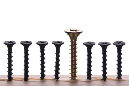 Group of black screws and one brass screwの写真素材