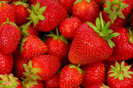 Fresh ripe perfect strawberry -  Food Frame Backgroundの写真素材