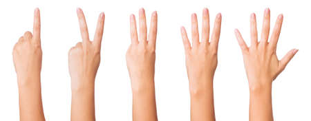 Set - woman hands making signs. Isolated on white background.の写真素材