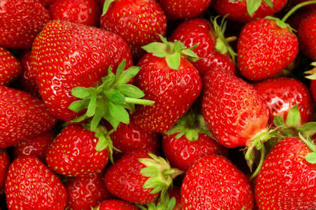 Food Frame Background - Fresh ripe perfect strawberriesの写真素材