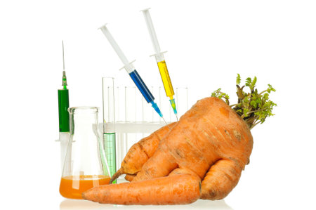 Genetically modified organism - ripe carrot with syringes and laboratory glassware on white backgroundの写真素材