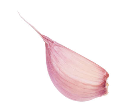 Fresh young garlic isolated on white backgroundの写真素材