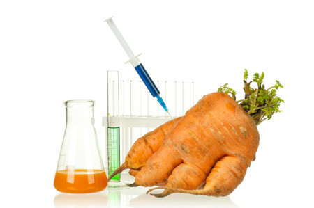 Genetically modified organism - ripe carrot with syringes and laboratory glassware on white backgroundの写真素材