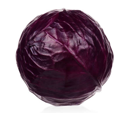 Fresh red cabbage vegetable on white backgroundの写真素材