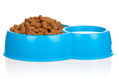 Dog food in bowl isolated on a white backgroundの写真素材