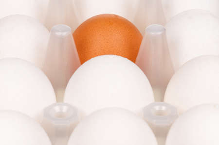 Close-up of brown and white eggs in the plastic boxの写真素材