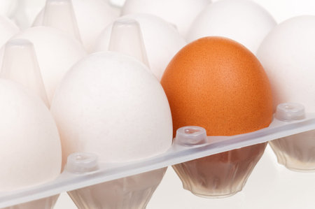 Close-up of brown and white eggs in the plastic box