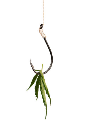 Fish hook with leaf of marijuana isolated on white backgroundの写真素材