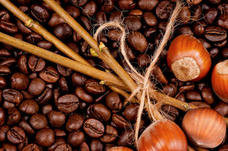 Closeup of coffee beans and filberts - top viewの写真素材