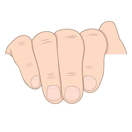 Vector illustration of a man hand holding blank advertising card on whiteの写真素材