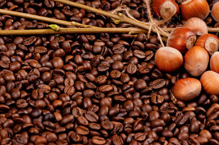 Closeup of coffee beans and filberts - top viewの写真素材