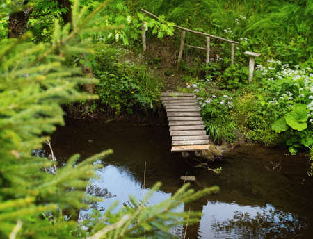 Small wooden bridge over a stream in a forestの写真素材