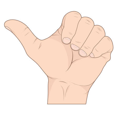 Thumb up hand sign, detailed illustration on white backgroundの写真素材