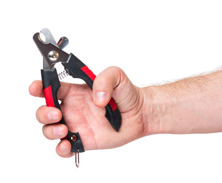 Man hand holding scissors for claws for pets such as dogs and cats, isolated on white background. Pet supplies about nail clipper.の写真素材