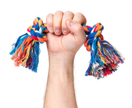 Hand holding Dog toy - pet accessories for games, isolated on white background with copy spaceの写真素材