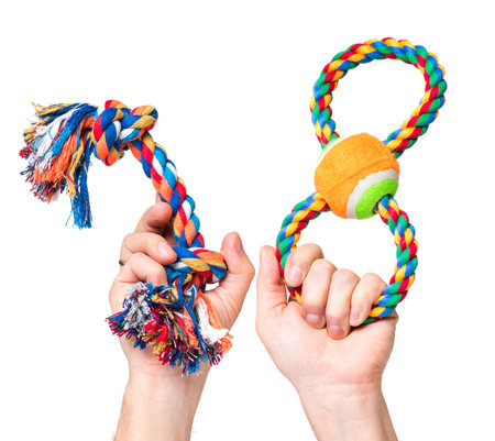 Hand holding Dog toy - pet accessories for games, isolated on white background with copy space
