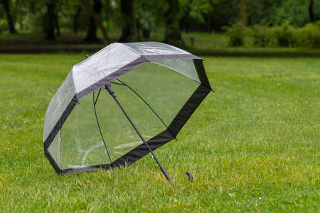 Transparent umbrella with raindrops is drying on a field of green grass at park in rainy day.の写真素材
