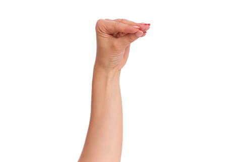 Female hand holding something, isolated on white background. Beautiful hand of woman with copy space.の写真素材