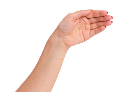 Female empty hand holding, isolated on white background. Beautiful palw of hand woman with copy space.の写真素材