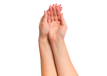 Female empty hands holding - palm up, isolated on white background. Beautiful hands of woman with copy space.の写真素材