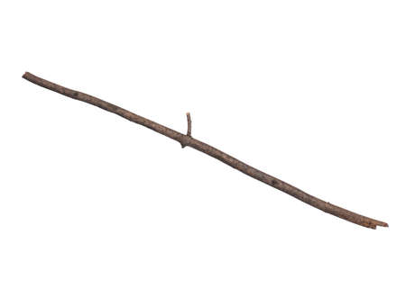 Single dry tree branch, isolated on white background. Stick tree branch from nature for design.の写真素材