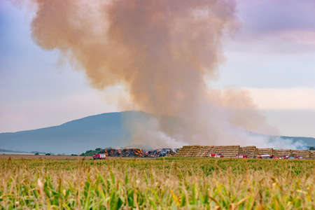 Firefighters battle with huge fire among field. Burning straw. Fire trucks on burning meadow in hot autumn day.の写真素材