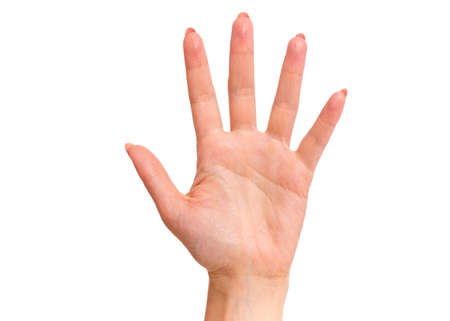 Female hand showing 5 fingers gesture, isolated on white background. Beautiful hand of woman with copy space. Hand doing gesture of number Five. Series of photos count from 1 to 5.の写真素材
