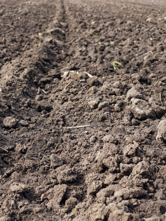 Arable land. Preparing field for planting. Plowed soil in spring time . Agricultural work.