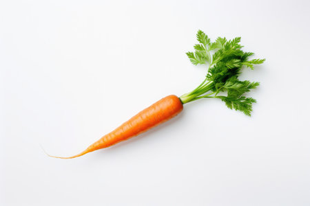 Fresh carrot with green leaves isolated on white background. Healthy food and vegetablesの素材