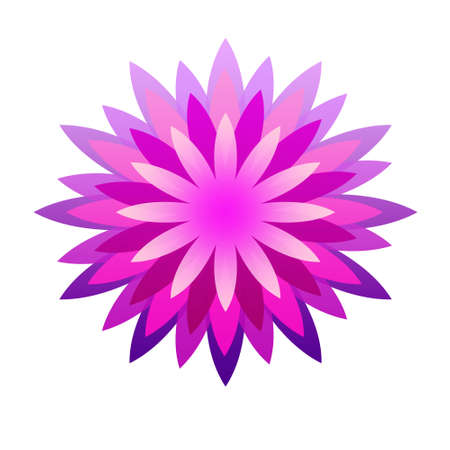Pink flower on a white backgroundの写真素材