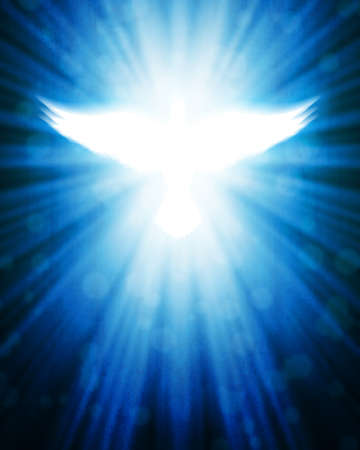 shining dove with raysの写真素材