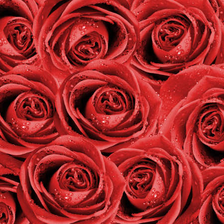 valentine's background with rosesの写真素材