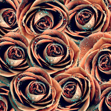 valentine's background with rosesの写真素材