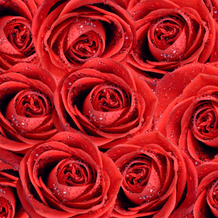 valentine's background with rosesの写真素材