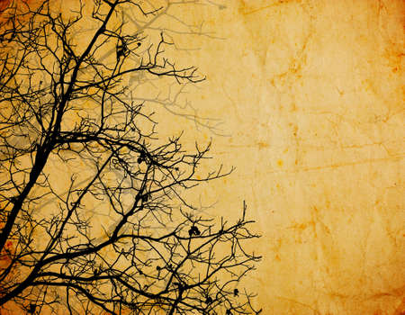 vintage background with tree branchesの写真素材