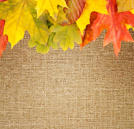 autumn frame on canvas backgroundの写真素材