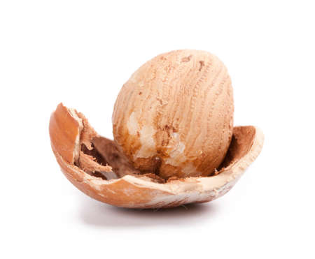hazelnuts isolated on white backgroundの写真素材
