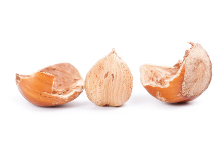 open hazelnut on white background