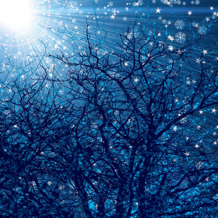 winter background with trees, snowflakes and starsの写真素材